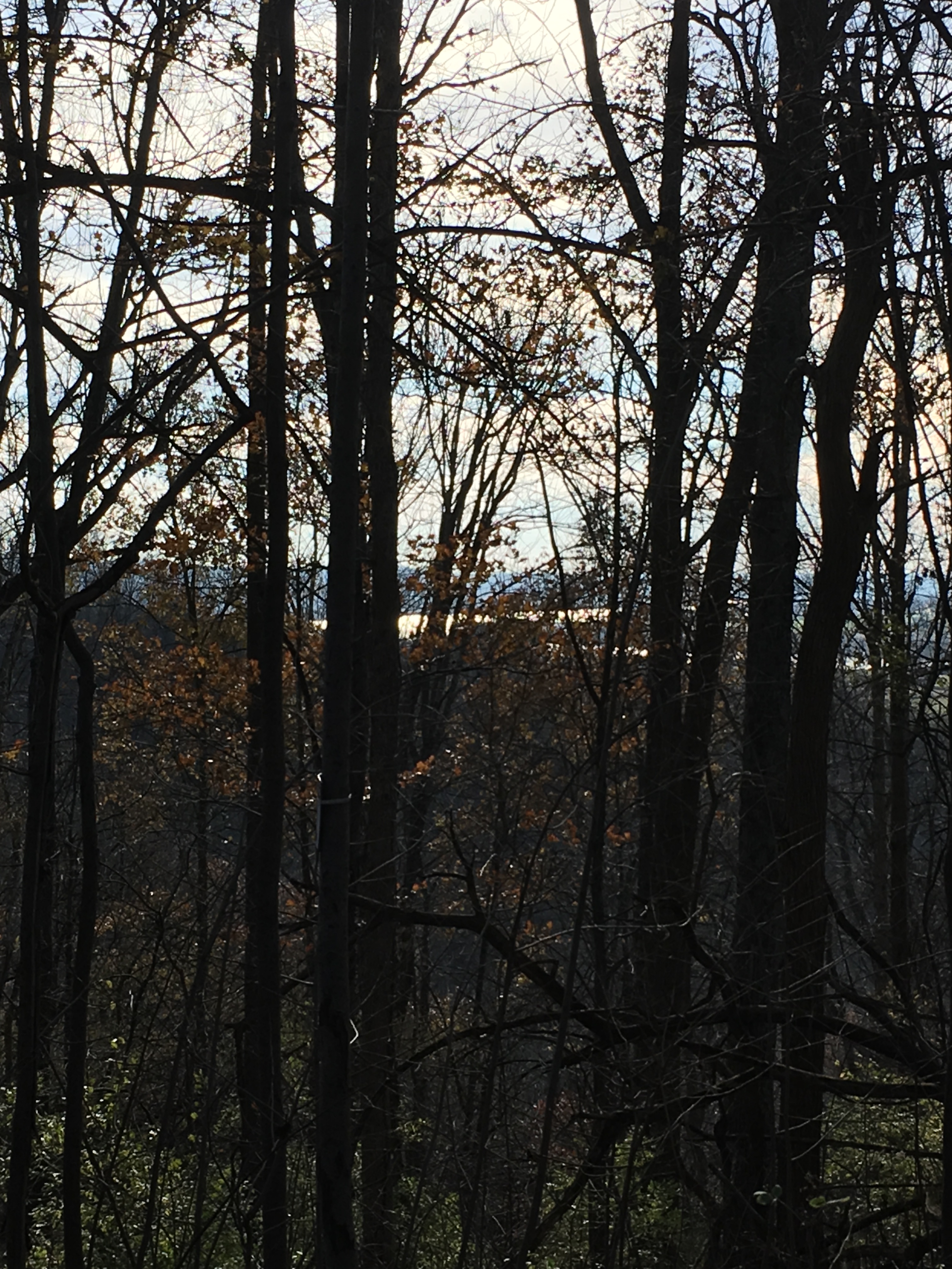 Middle Creek park view of Ohio River