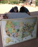 Colorado 7 bridges hike to trail head--Hellen Hunt falls where hikers come from