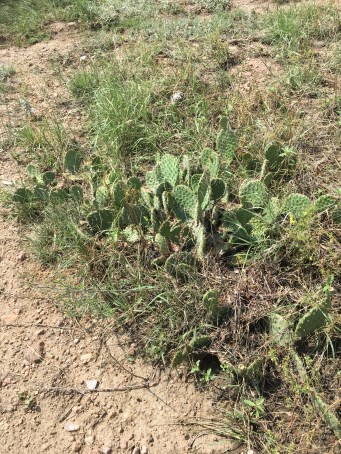 Colorado mountain bike 2018 cati