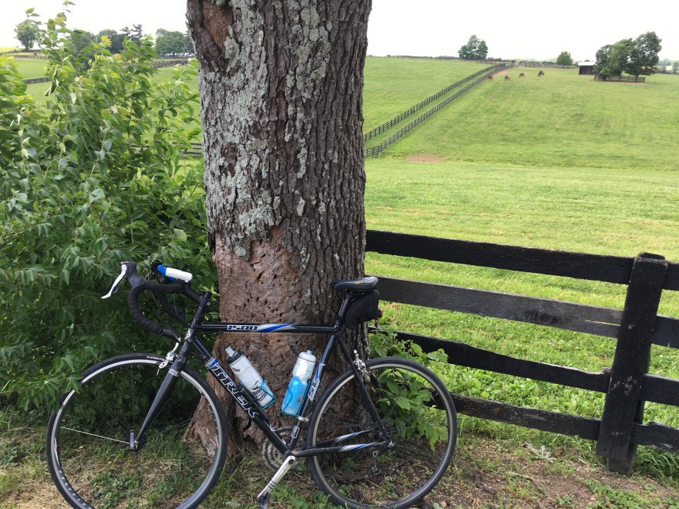 End of HH Bike picture