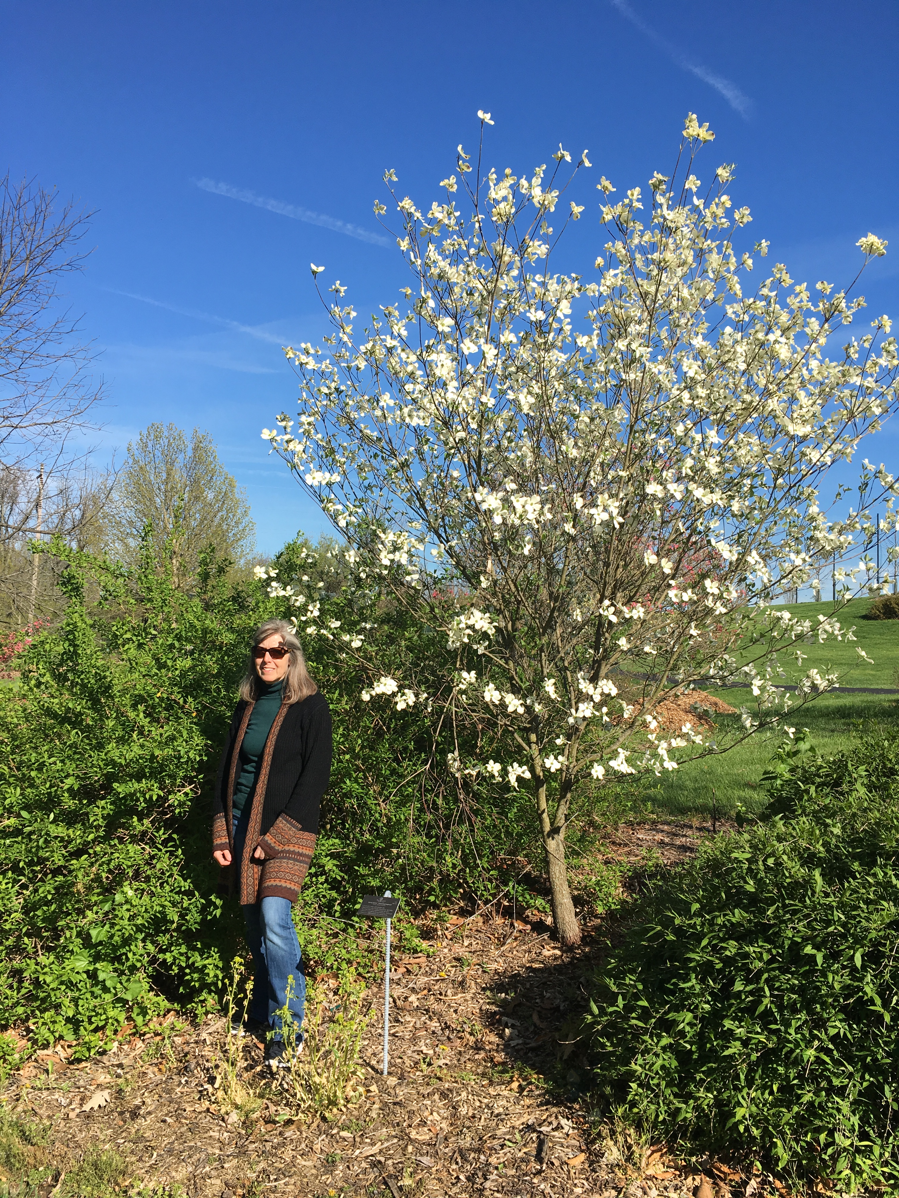 Spring in Cincinnati