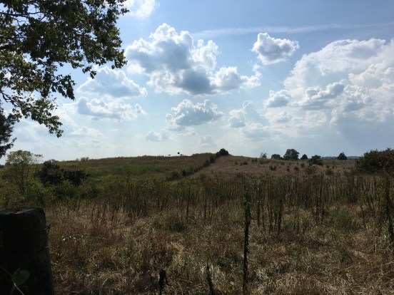 Perryville line of battle